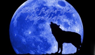 Can´t fight the Moonlight Blue-m12
