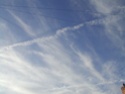 CHEMTRAILS IN THE SKY - Page 3 15_nov10
