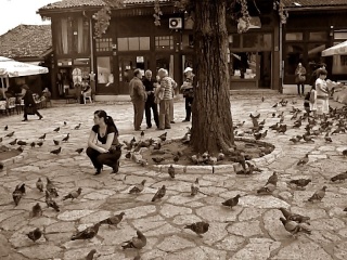 Autorska fotografija Bascar12