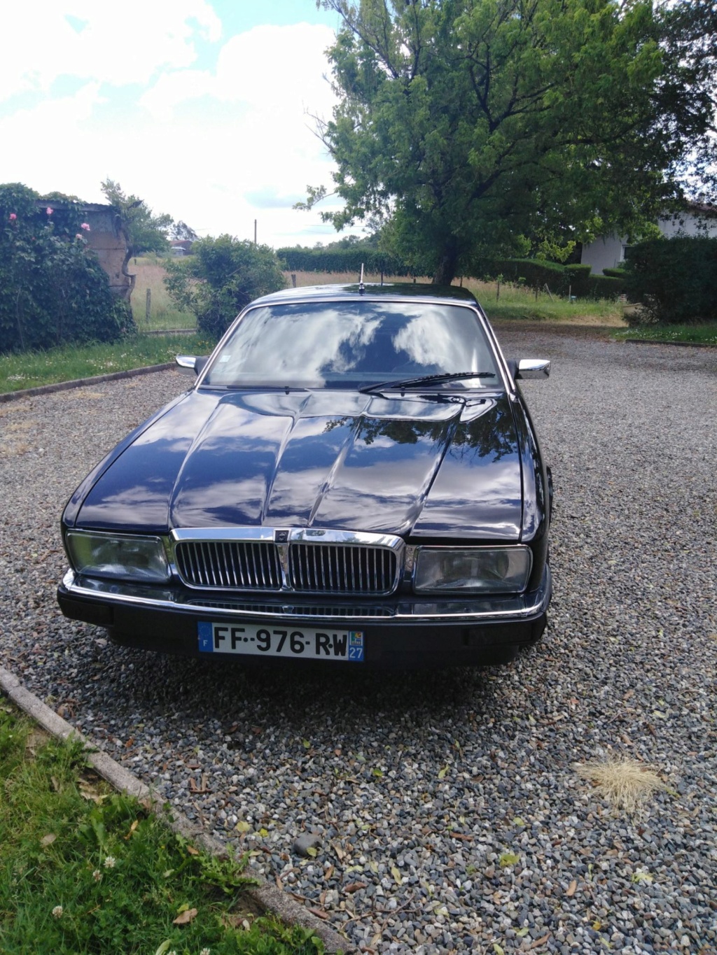 L'Alfetta taille L de Coventry Image015