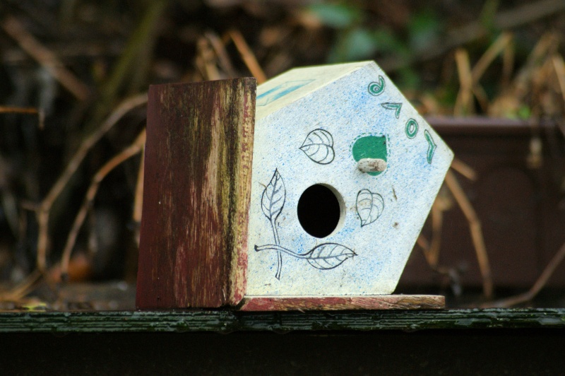 Un petit nichoir fait maison lors d'une de mes balade au Canal de Ronquière Petit_10