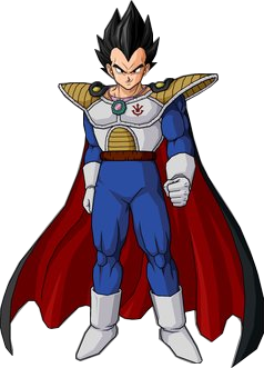 Regarde une feuille de personnage Vegeta10