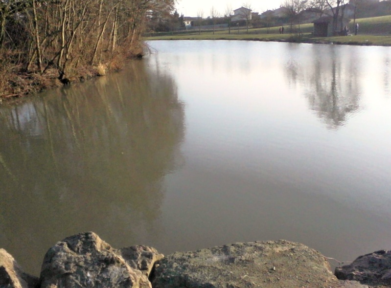 peche a saint savignieux Etang_11