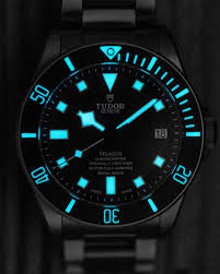 Tudor Pelagos (LHD) ou Omega SM300 Diver  Tzolzo10