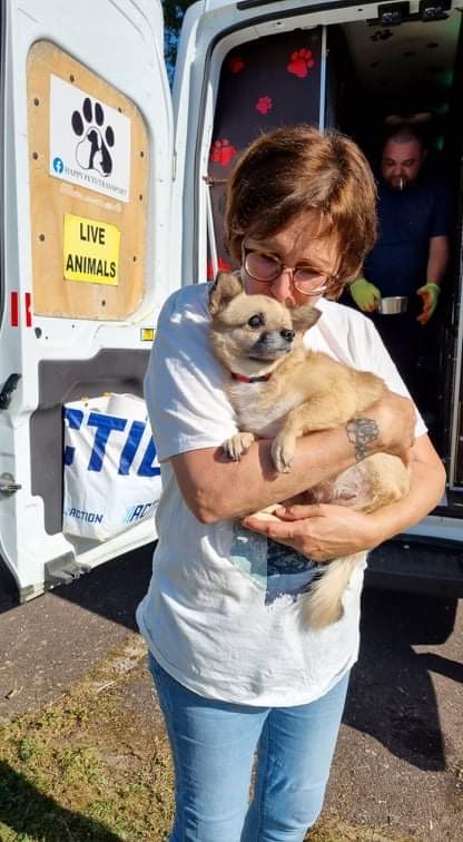 BEA - Femelle adulte de petite taille aveugle - Née en 2015 - Refuge de Gabriela - Adoptée par Lara (Belgique) 0ef8dd10