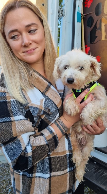 BETTY - Femelle croisé bichon de petite taille - Aveugle - Née environ en 2011 - Refuge de Gabriela - adoptée par Martine (Belgique) 24221611