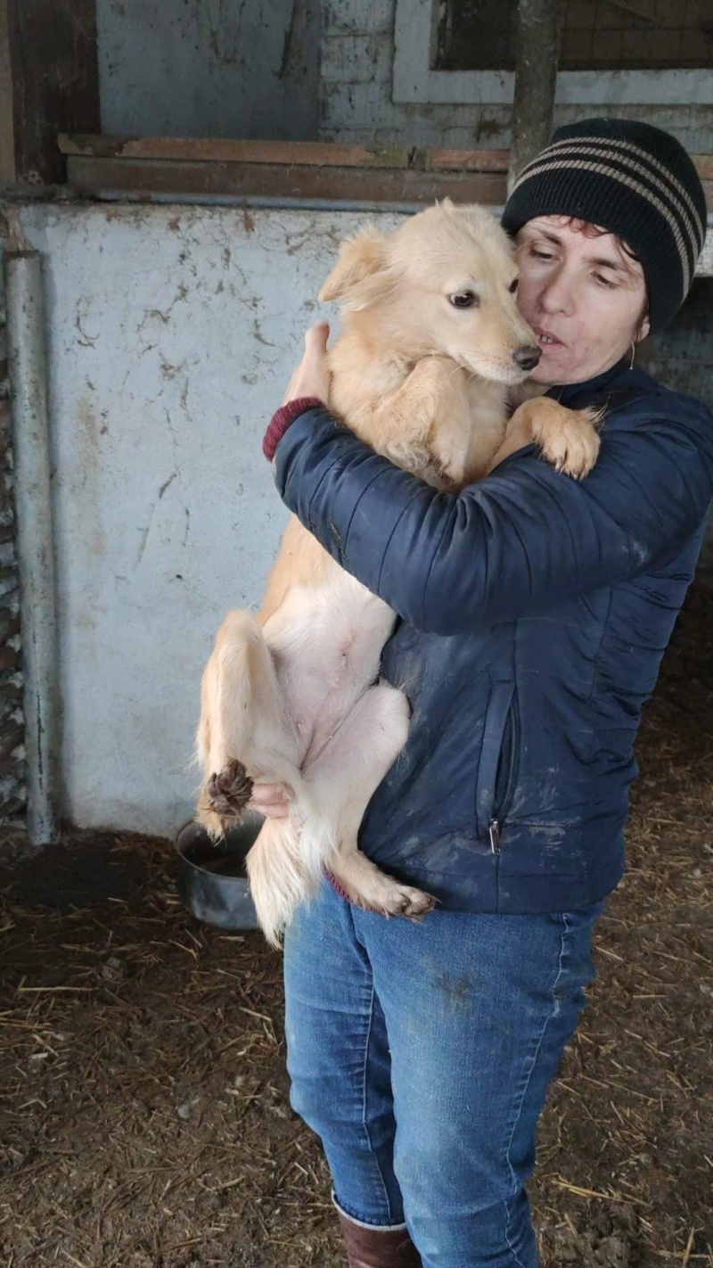 MELBA - Chiot femelle croisée de petite à moyenne taille - Née en Février 2022 - adoptée par Florence (dépt 91) 2ee55210