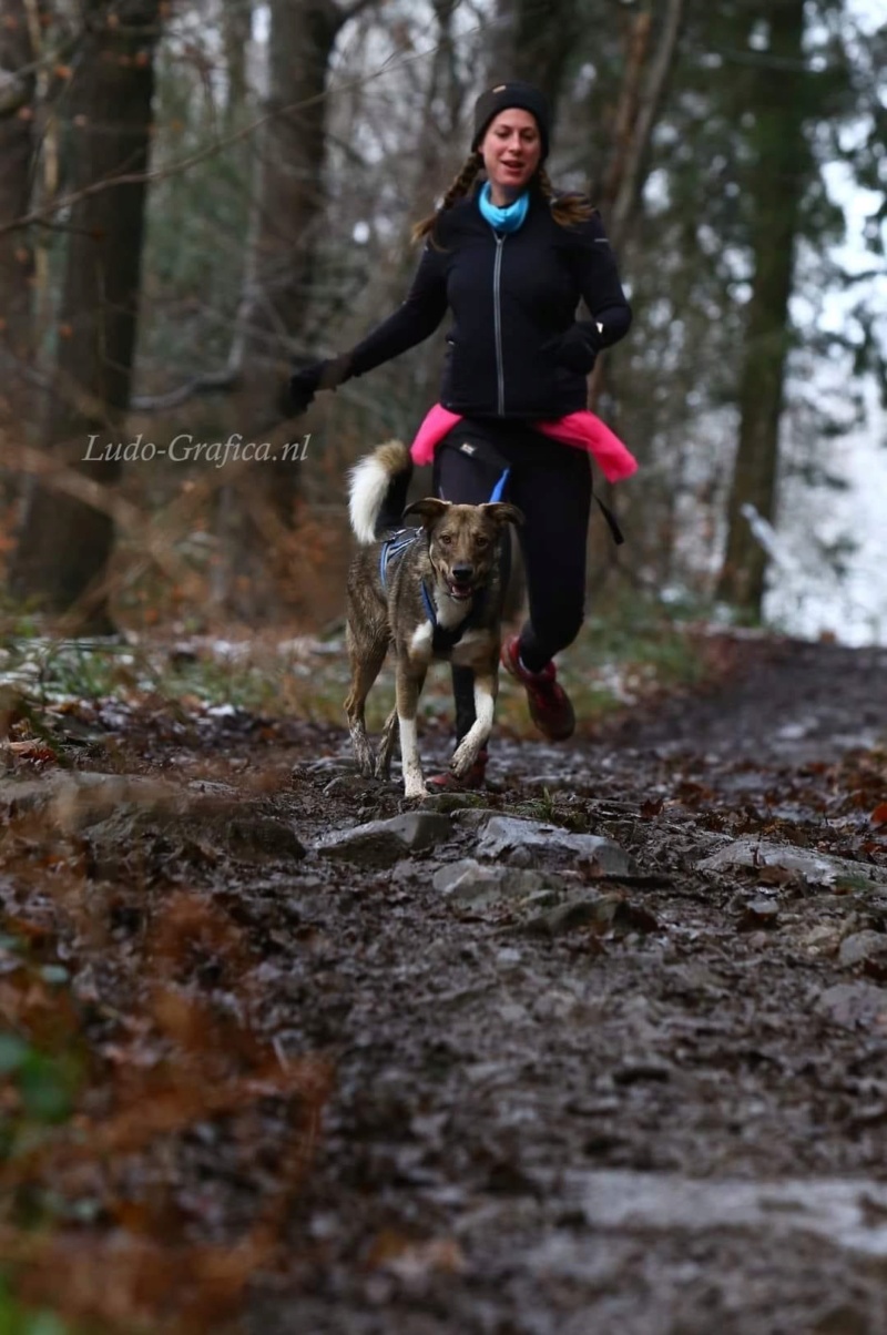 DUKE - Chiot mâle de taille moyenne à l'âge adulte - Né environ fin juillet 2020 - Adopté par Florent et Laura (Belgique)  - Page 2 74ac9010