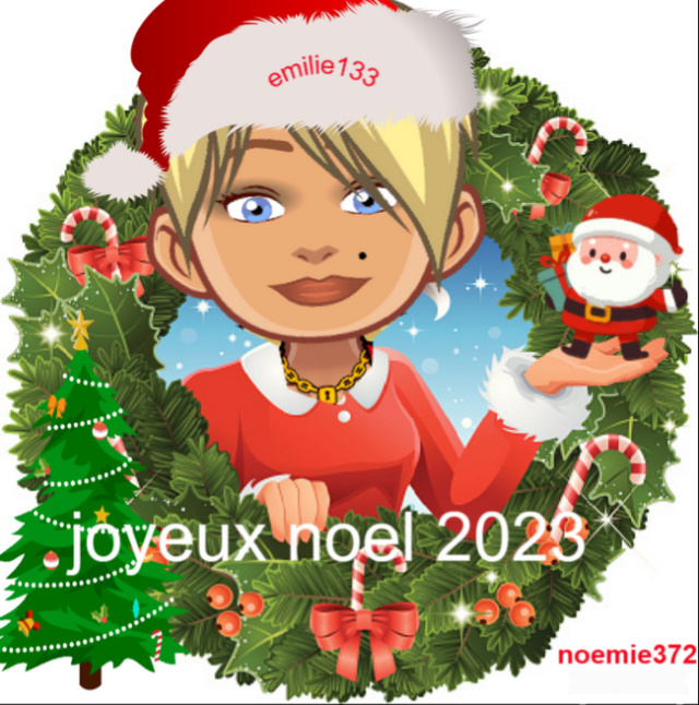 trophees de noel 2023 pour mes amies  Emilie10