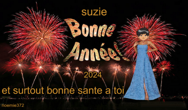 BONNE FETE POUR LA NOUVELLE ANNNEE202424 MES DAUPHINS ET DAUPHINES  Suzie210