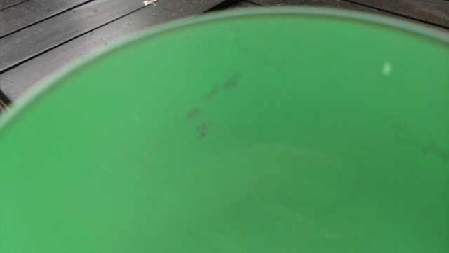 Uranium Glass - Safe? Dsc_0011