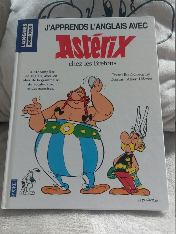 La collection Astérix de Ninjette 20220856