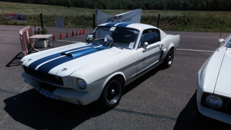 Mustang nat's 02/06/19 Dsc_0124