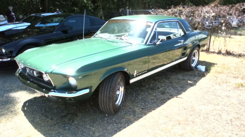 Mustang nat's 02/06/19 Dsc_0131