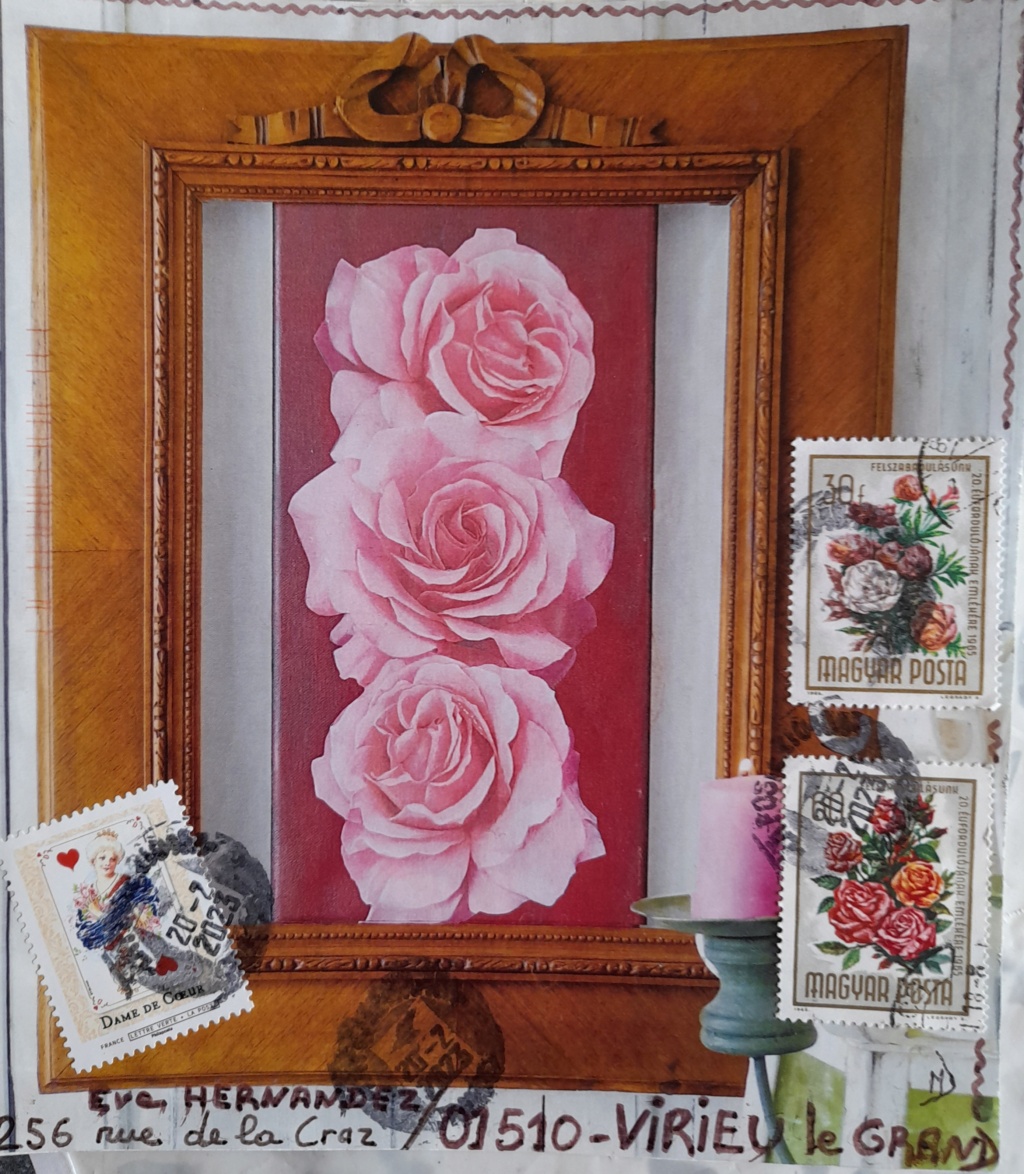 Galerie Roses du jardin - Page 11 20230310