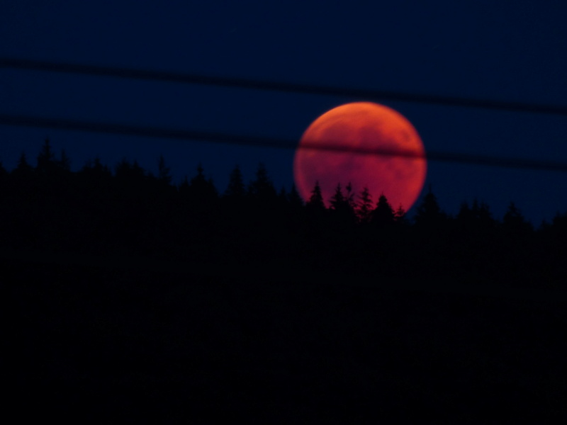 lune rouge  P1060511