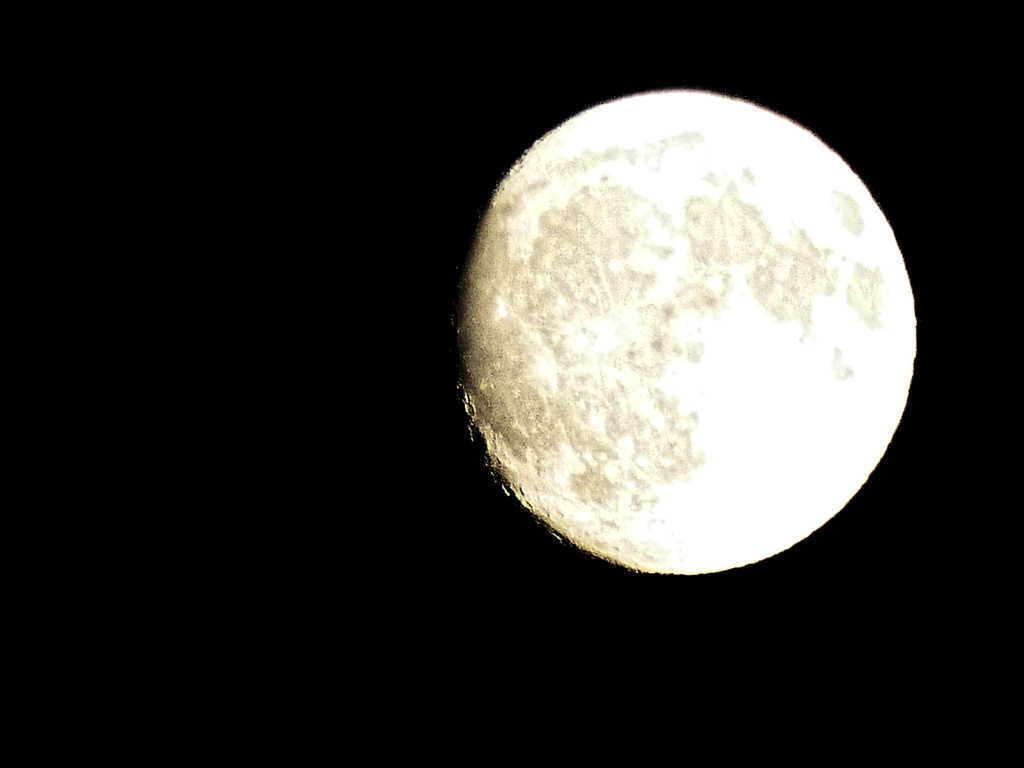 lune  d'octobre  et Novembre  P1060814