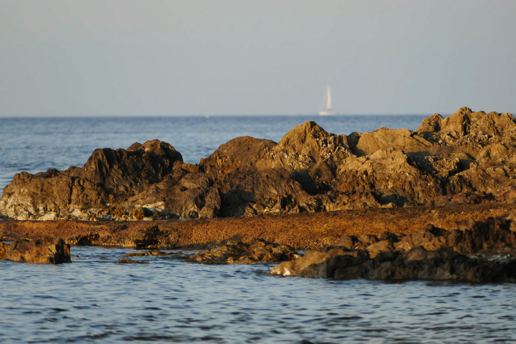 La presqu'île de Giens  25052012