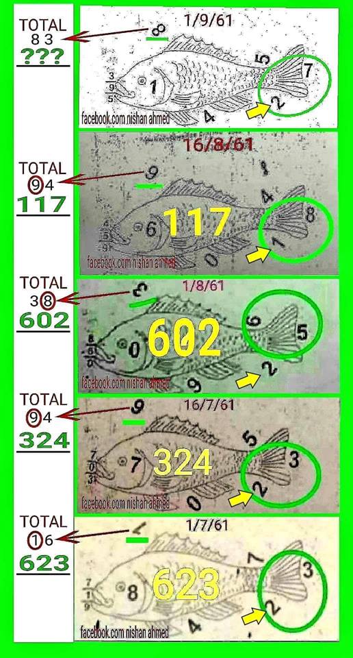 Mr-Shuk Lal 100% Tips 01-09-2018 - Page 7 39526310