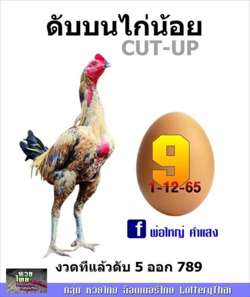 Mr-Shuk Lal Lotto 100% Free 01-12-2022 - Page 10 Rcx1bp10
