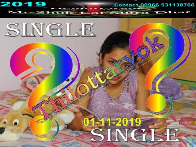 Mr-Shuk Lal 100% Tips 01-11-2019 - Page 3 Singl100