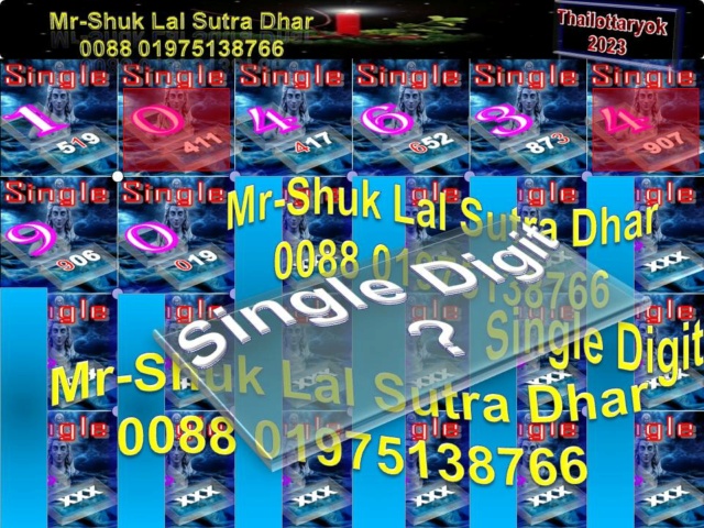 Mr-Shuk Lal Lotto 100% Free 16-05-2023 - Page 3 Singl428