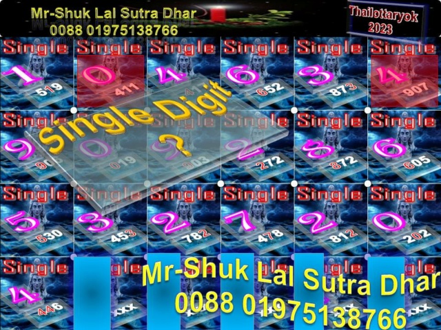 Mr-Shuk Lal Lotto 100% Free 01-11-2023 - Page 3 Singl478