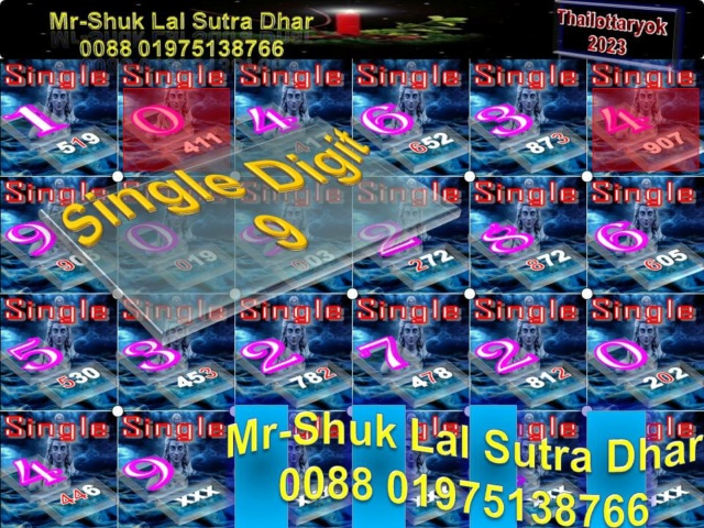 Mr-Shuk Lal Lotto 100% Free 16-11-2023 Singl487