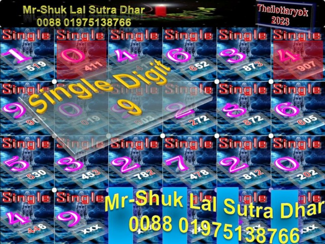 Mr-Shuk Lal Lotto 100% VIP 01-11-2023 - Page 2 Singl489
