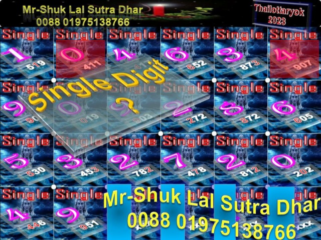 Mr-Shuk Lal Lotto 100% Free 16-11-2023 - Page 3 Singl491