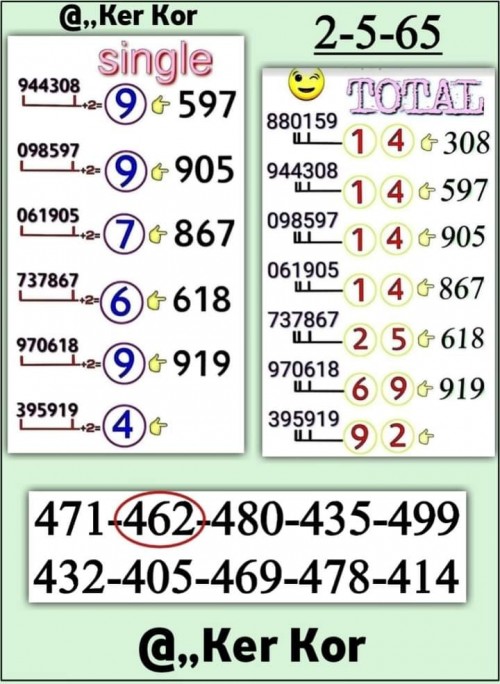 Mr-Shuk Lal Lotto 100% Free 16-05-2022 - Page 11 Zz11
