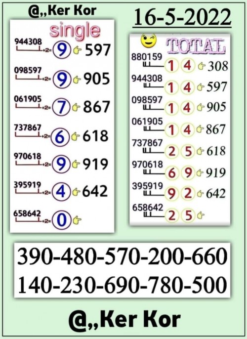Mr-Shuk Lal Lotto 100% Free 16-05-2022 - Page 11 Zzz10