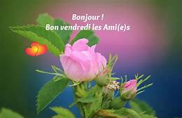 juin 2018 - Page 6 Bonjou11