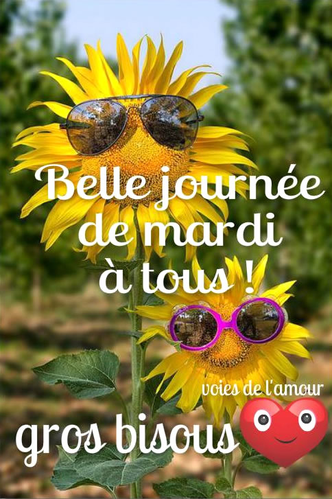 JUILLET 2018 - Page 12 Bonjou23