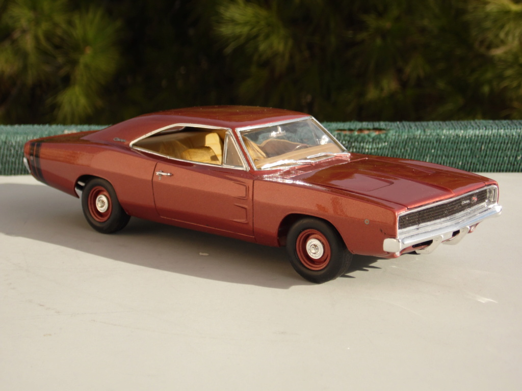 Dodge Charger 1968. -FINI- - Page 2 Sam_1644