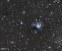 NGC7129-IC5133-IC5134-NGC7142 Ic513311