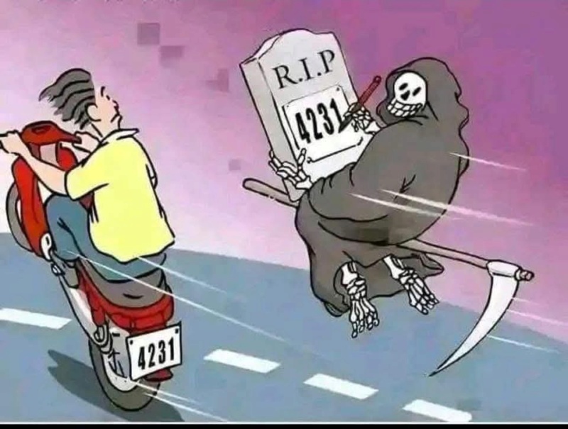 fb_im142.jpg