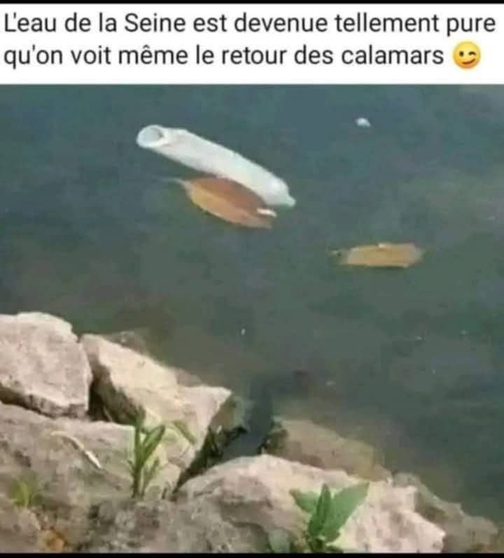 fb_im173.jpg