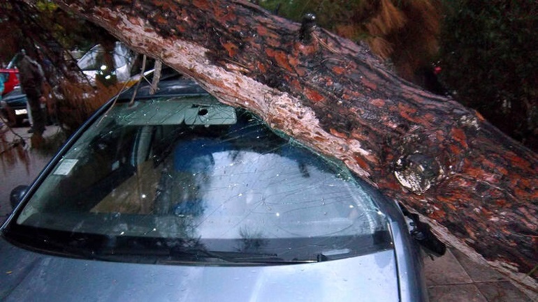 Νέα Σμύρνη: Δέντρο καταπλάκωσε οχήματα 26128511