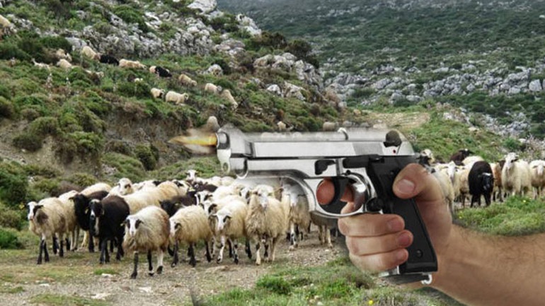 Χανιά: Παραδόθηκε μετά από 23 ημέρες ο κτηνοτρόφος που κατηγορείται ότι πυροβόλησε άλλον κτηνοτρόφο  26252210