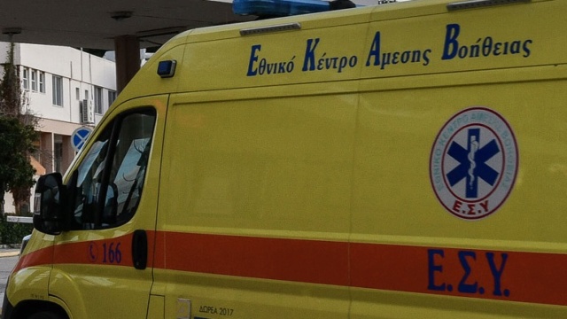Θεσσαλονίκη: Επίθεση από αδέσποτα σκυλιά δέχθηκαν δύο άνδρες- Σε σοβαρή κατάσταση ο ένας 28327610