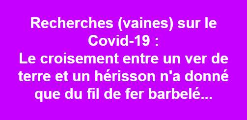 LES BLAGUES DES CONFINE(E)S - Page 8 00513410