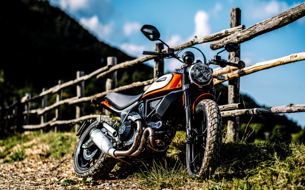 Scrambler 800 - 2019 Scramb11