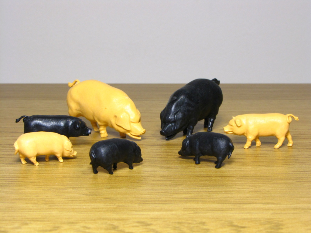 Rogerpgvg's Britains collection: black and spotted pigs - Page 10 Img_1716
