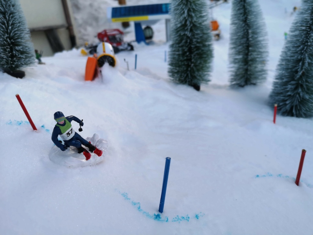 Station de ski miniature en Suisse - Page 5 Img_2014