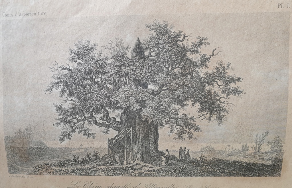 Culture des arbres et arbrisseaux à fruits de table - M DCCC LXVIII - 1868 Chzone10
