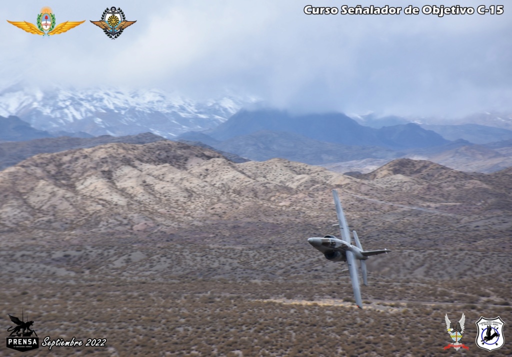 EJERCICIOS DE LA FUERZA AÉREA ARGENTINA - Página 3 C5210