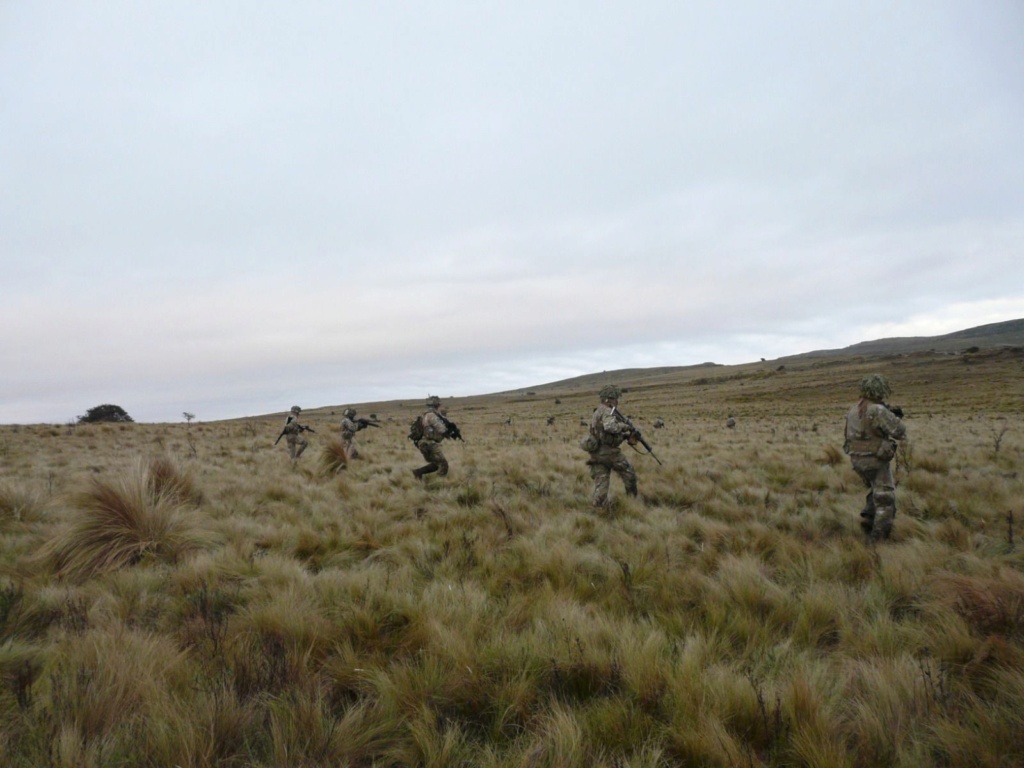 EJERCICIOS DEL EJERCITO ARGENTINO - Página 18 Cba113