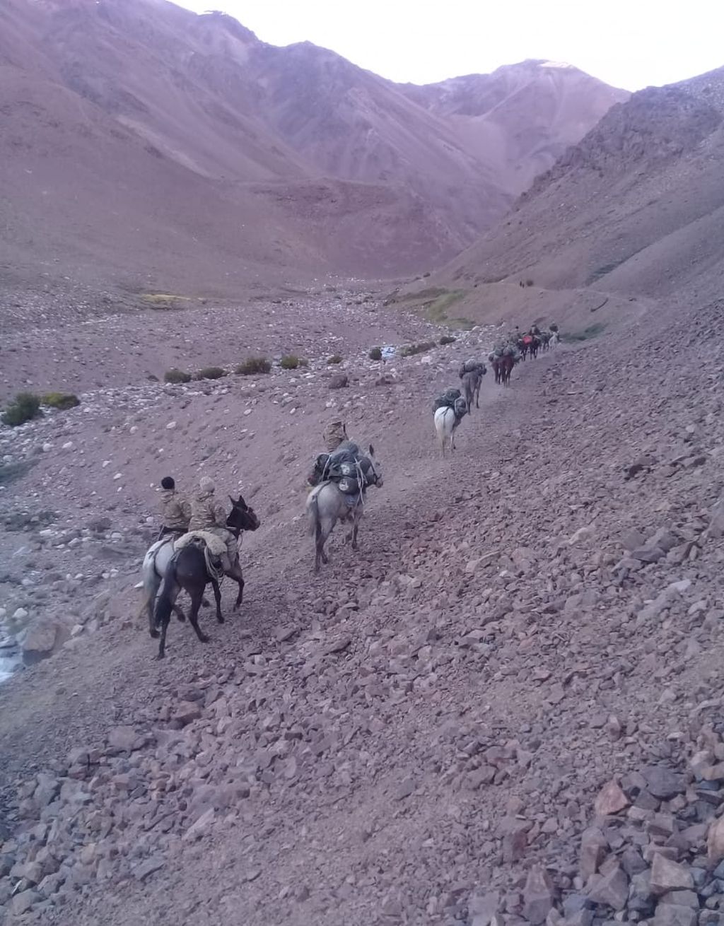 EJERCICIOS DEL EJERCITO ARGENTINO - Página 10 Ea265