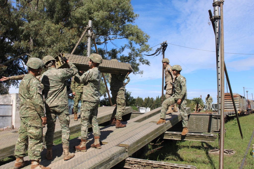 Noticias del ejercito Argentino - Página 7 Ferro410